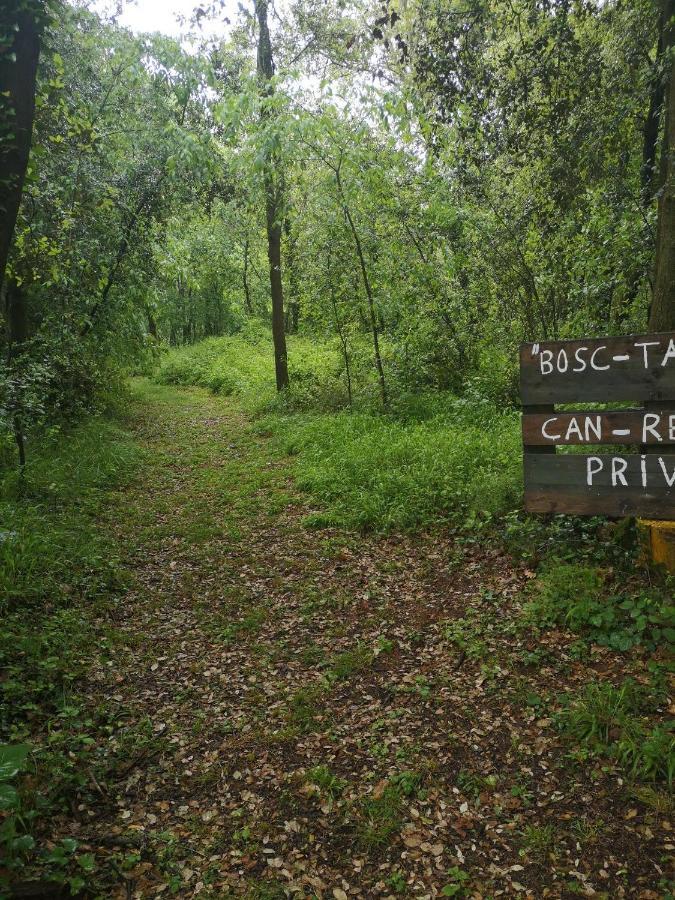 Can Resiu Serinya Екстер'єр фото